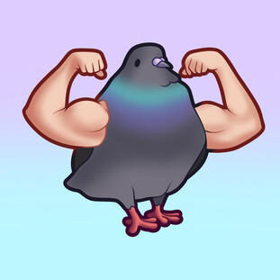 Muscle Pigeon