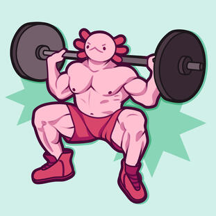 Muscle Axolotl