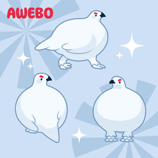 Awebo Bird